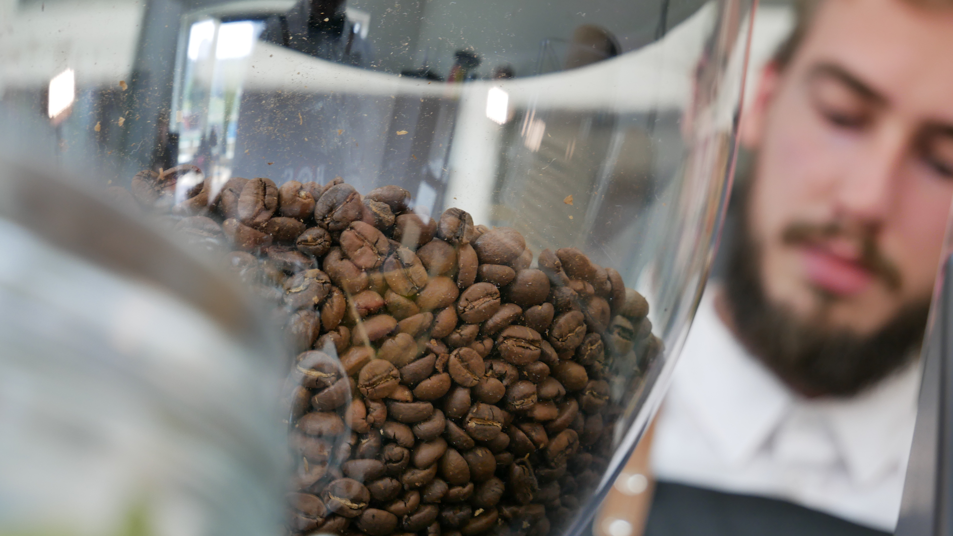 Fair trade & specialty coffee